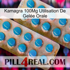 Kamagra 100Mg Utilisation De Gelée Orale new08